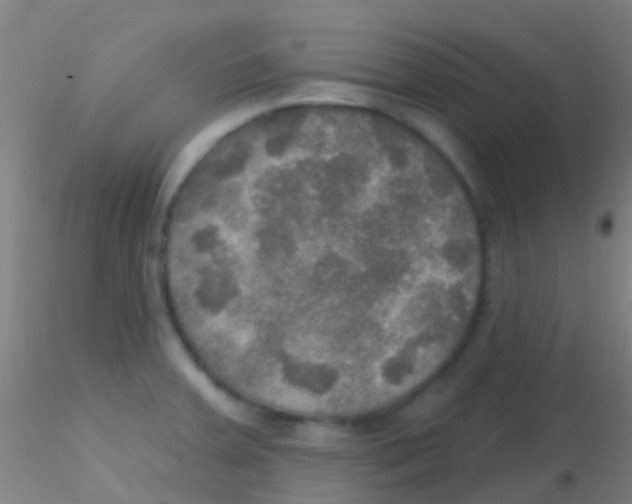 X0000115201379200911251432