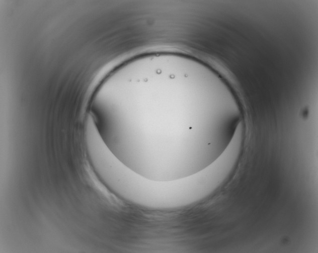X0000115201380200911251432