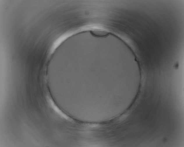 X0000115201382200911251432