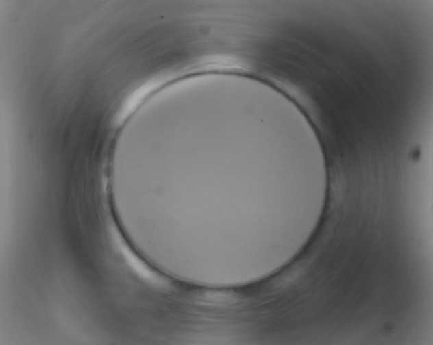 X0000115201383200911251432