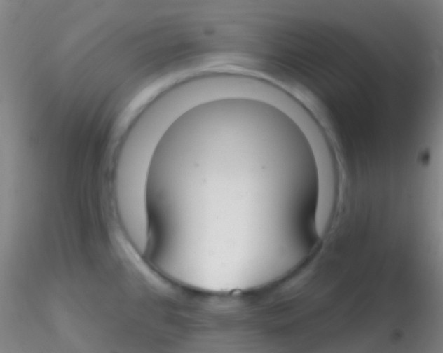 X0000115201384200911251432