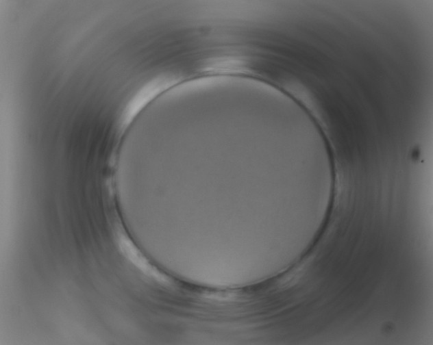 X0000115201386200911251432