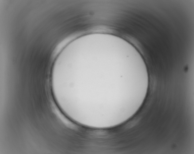 X0000115201387200911251432