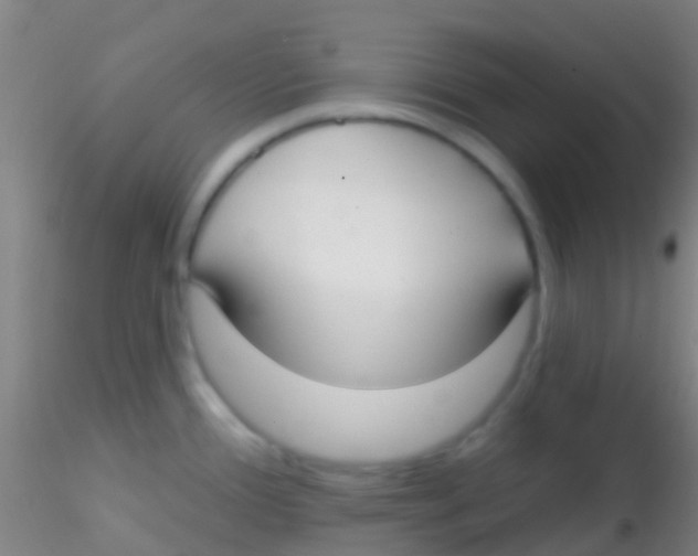 X0000115201388200911251432