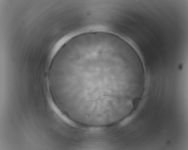 X0000115201389200911251432