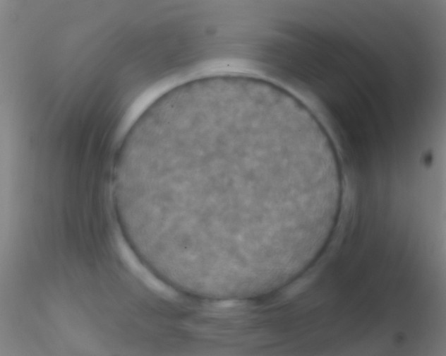 X0000115201390200911251432