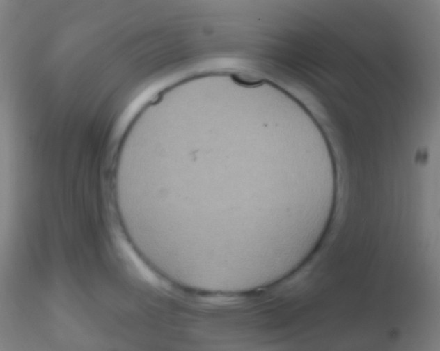 X0000115201392200911251432