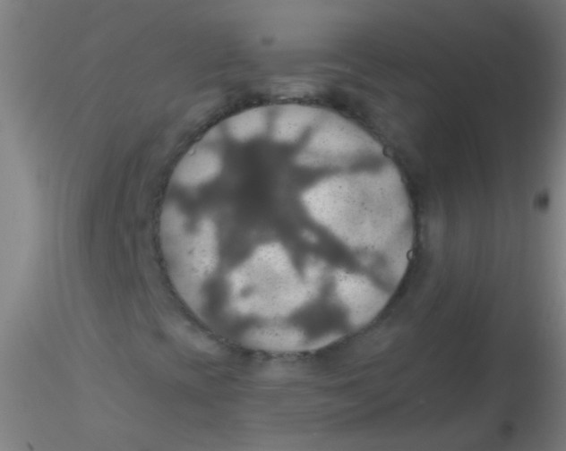 X0000115201393200911251432