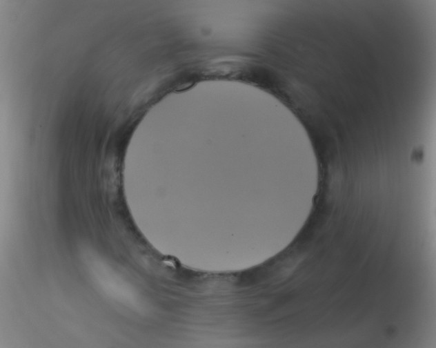 X0000115201394200911251432