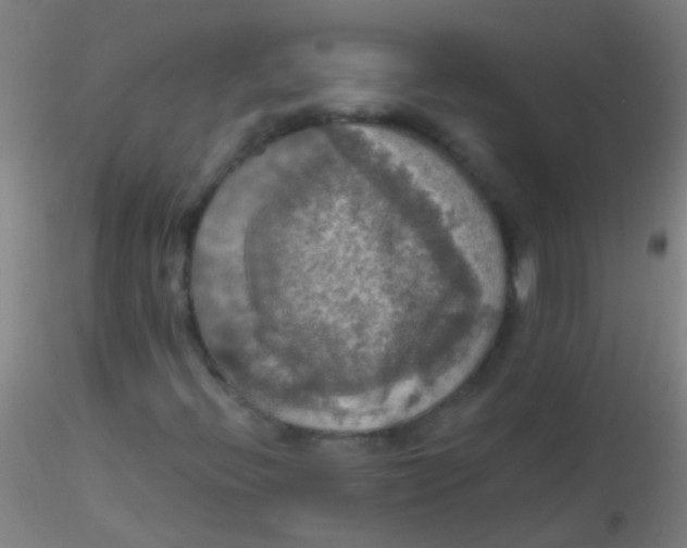 X0000115201396200911251432