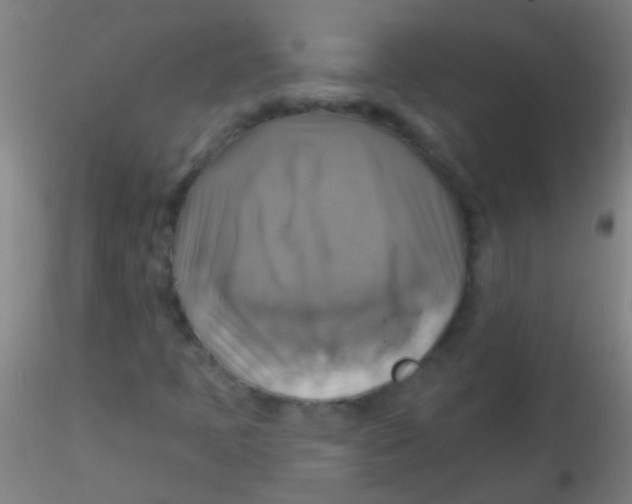 X0000115201397200911251432