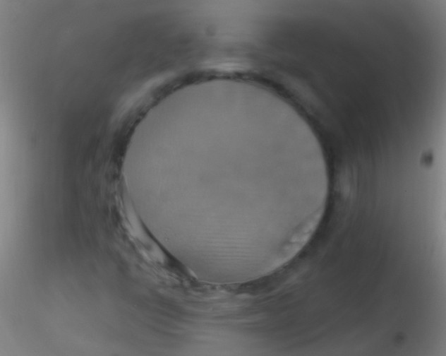 X0000115201398200911251432