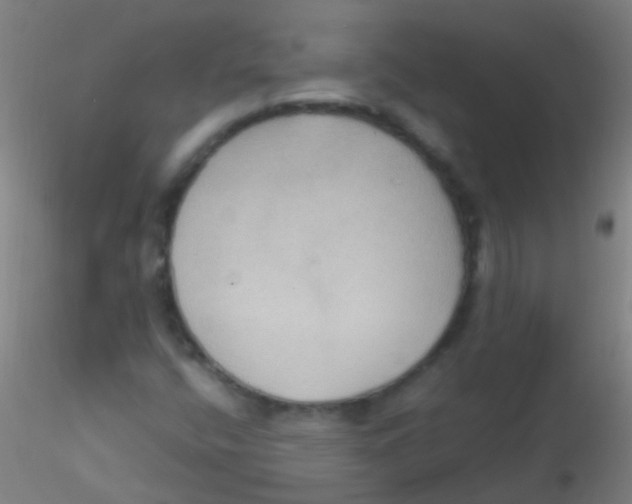 X0000115201400200911251432