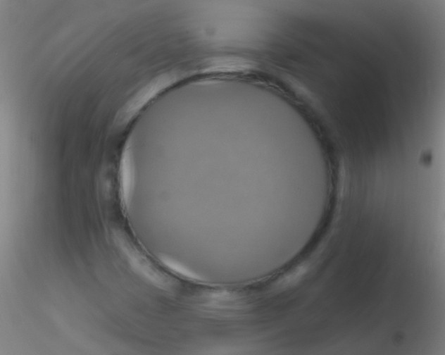 X0000115201401200911251432