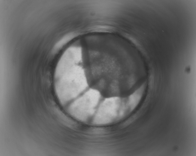 X0000115201402200911251432