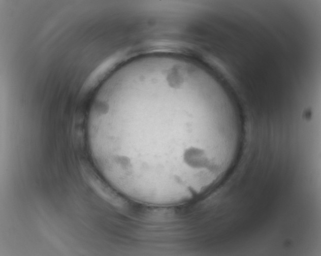 X0000115201403200911251432