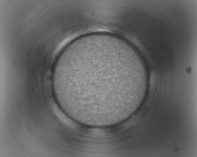 X0000115201404200911251432