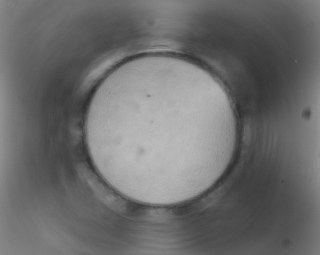 X0000115201407200911251432