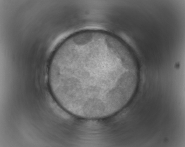 X0000115201408200911251432