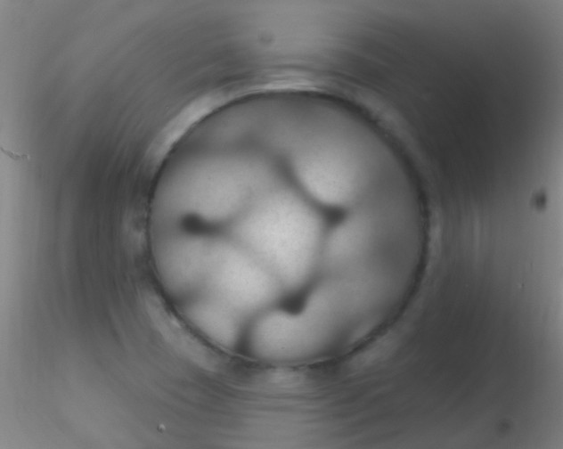 X0000115201409200911251432