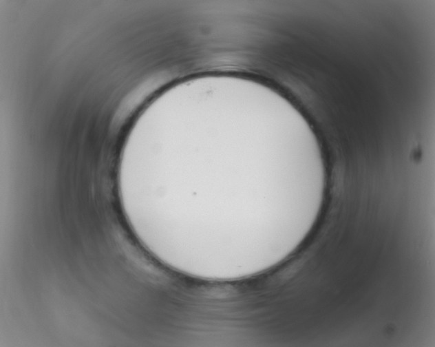 X0000115201410200911251432