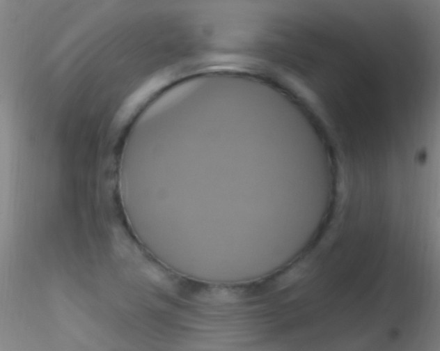 X0000115201411200911251432