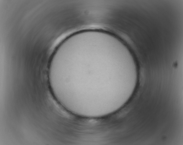 X0000115201412200911251432