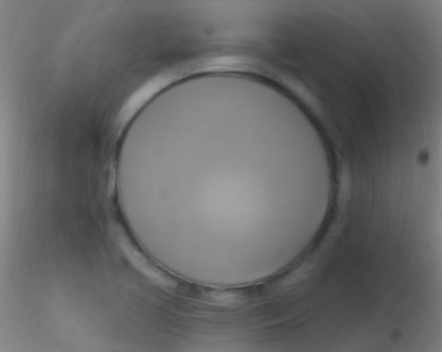 X0000115201413200911251432