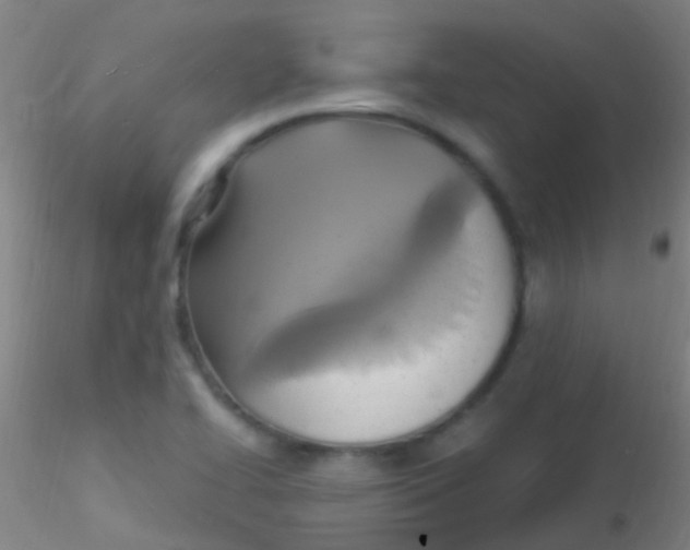X0000115201414200911251432