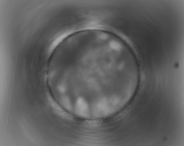 X0000115201415200911251432