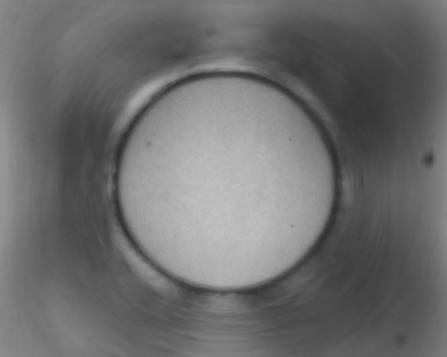 X0000115201416200911251432