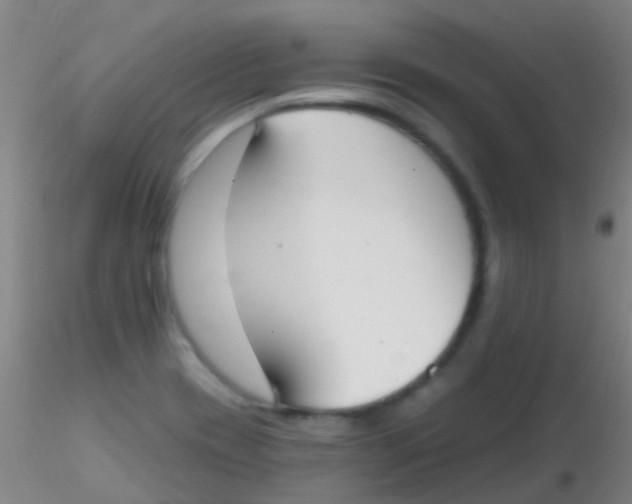 X0000115201417200911251432