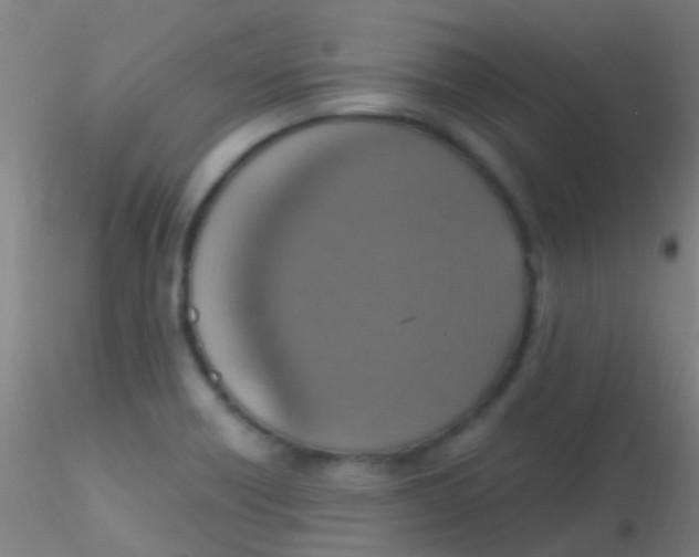 X0000115201418200911251432