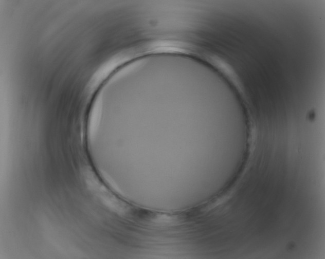 X0000115201419200911251432