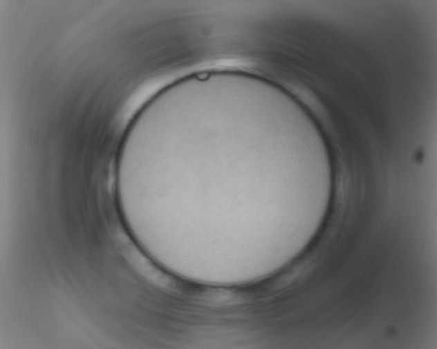 X0000115201420200911251432