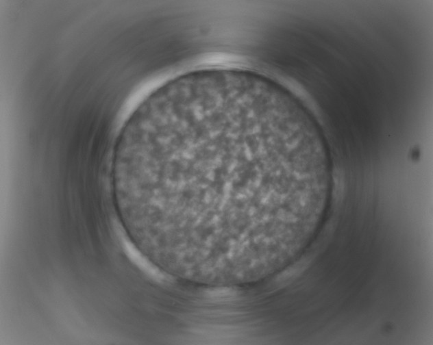X0000115201421200911251432