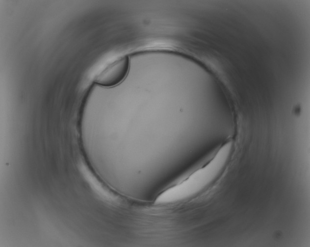 X0000115201422200911251432