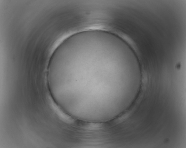 X0000115201423200911251432