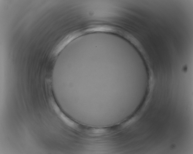 X0000115201425200911251432