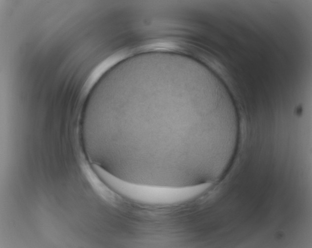 X0000115201426200911251432