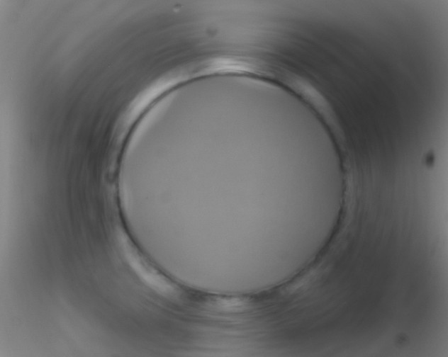 X0000115201427200911251432