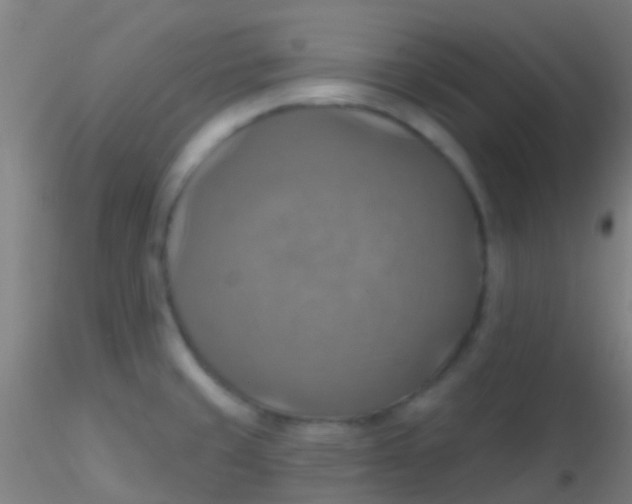 X0000115201429200911251432