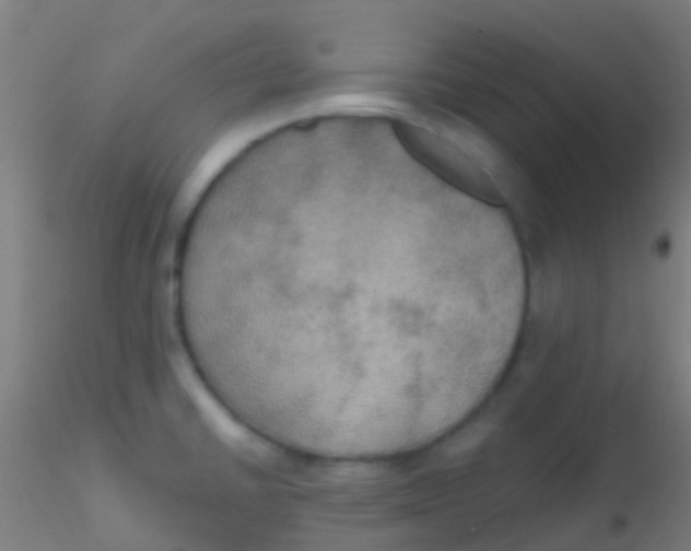 X0000115201430200911251432