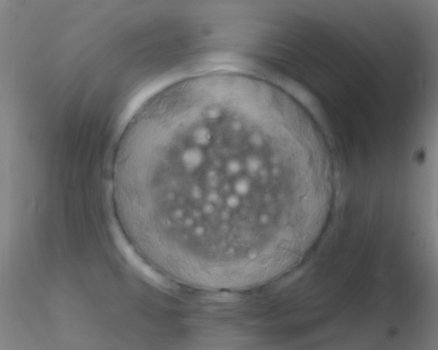 X0000115201431200911251432