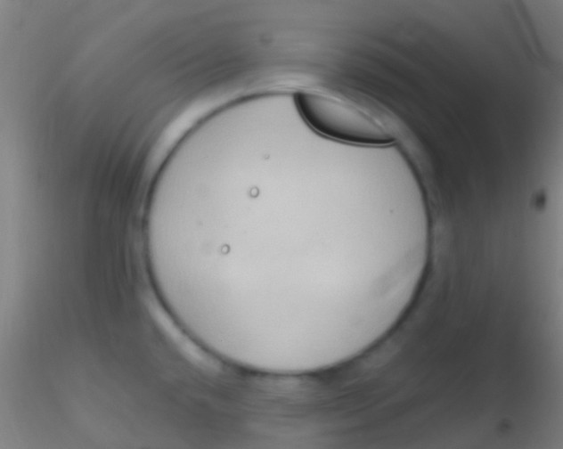 X0000115201432200911251432
