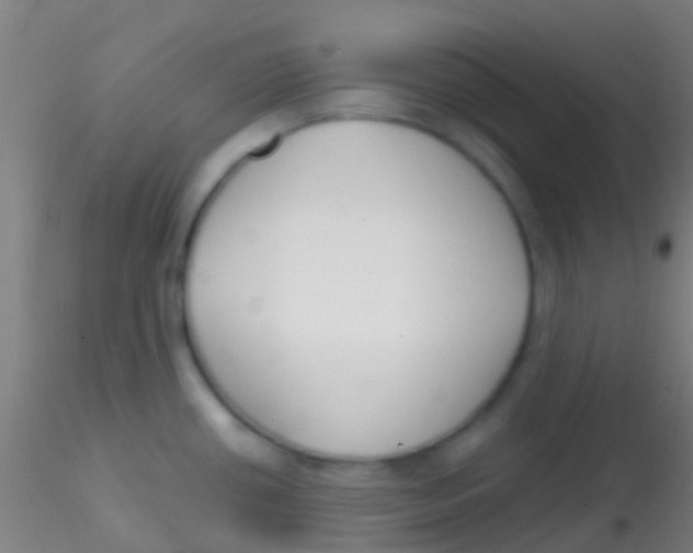 X0000115201434200911251432