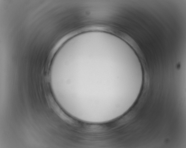 X0000115201436200911251432