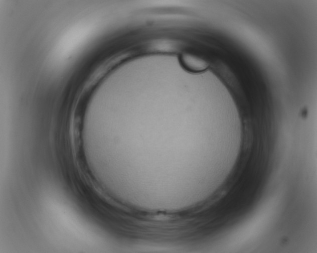 X0000115201438200911251432