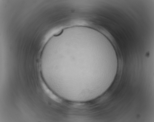X0000115201439200911251432