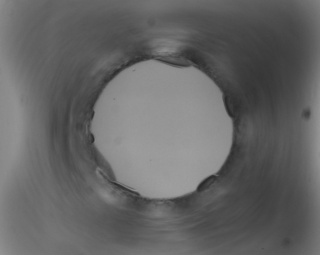 X0000115201441200911251432